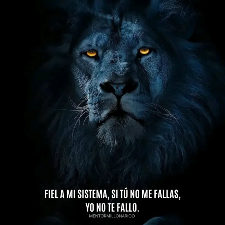 motivación🧠💯🥳