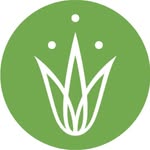 Grassroots Yoga