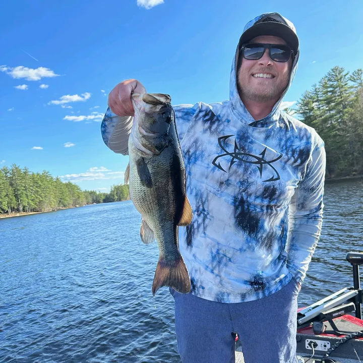 bassmeat fishing