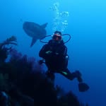 underwater jonas