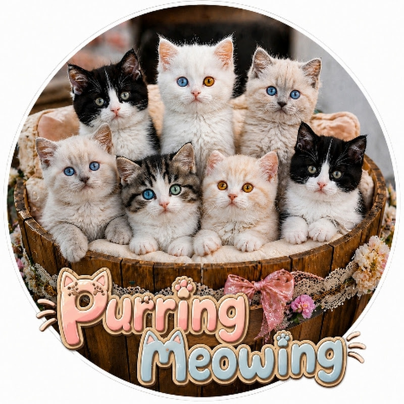 Purring Meowing