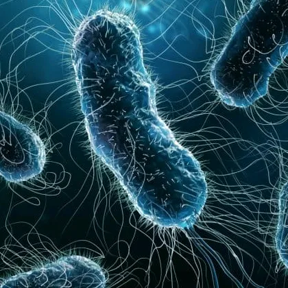 food.biohazards