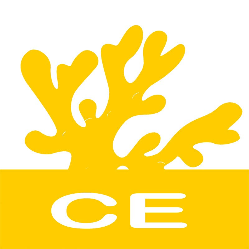 CE 珊瑚交流