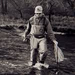 D A L T O N  W I L L A R D