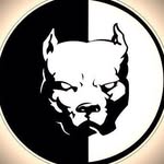 Эрик Давидович