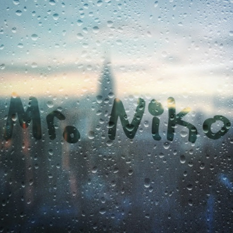 Mr. Niko