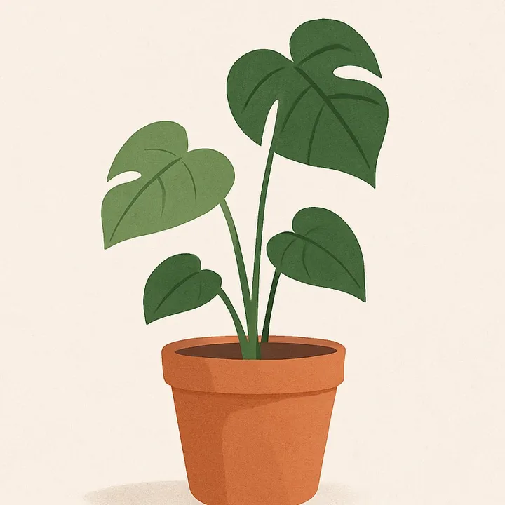 leafittomeplanttips