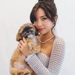 petpet