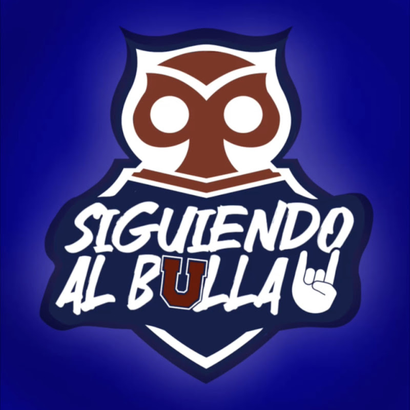 SIGUIENDO AL BULLA  (ALVARO VARGAS C)