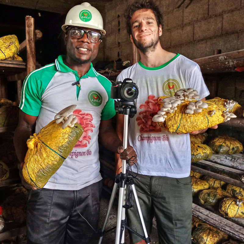 Investir En Afrique 5,5M