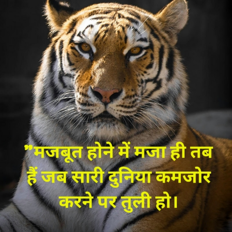 K K motivation videos