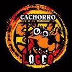 cachorrolocco