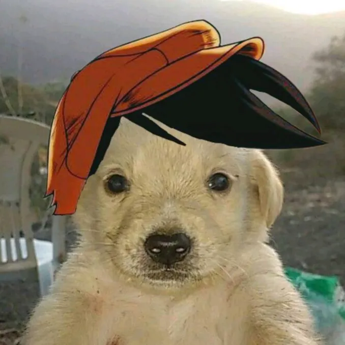 :v