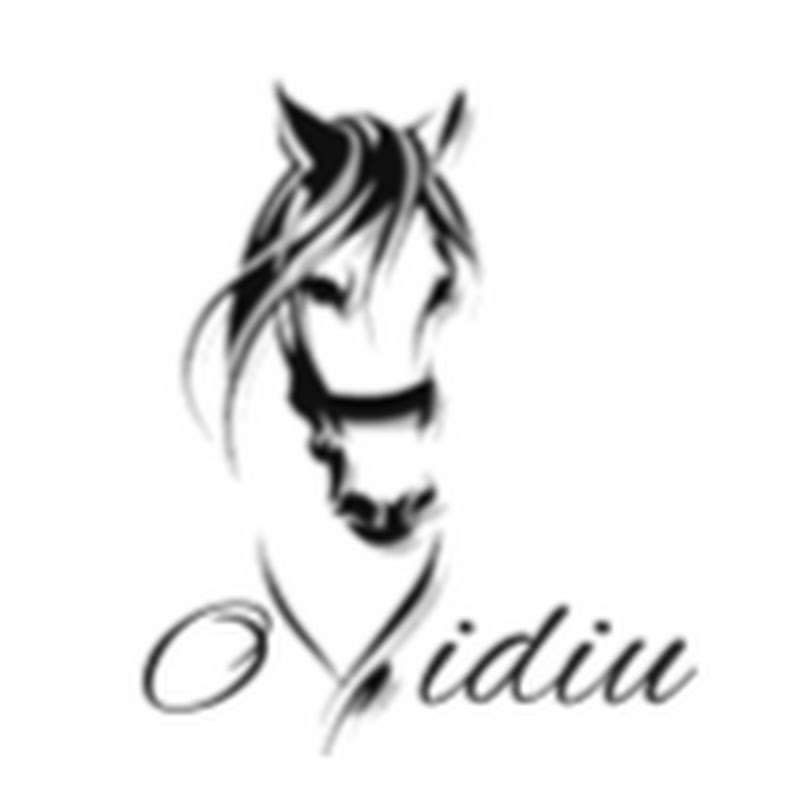 OM Ovidiu