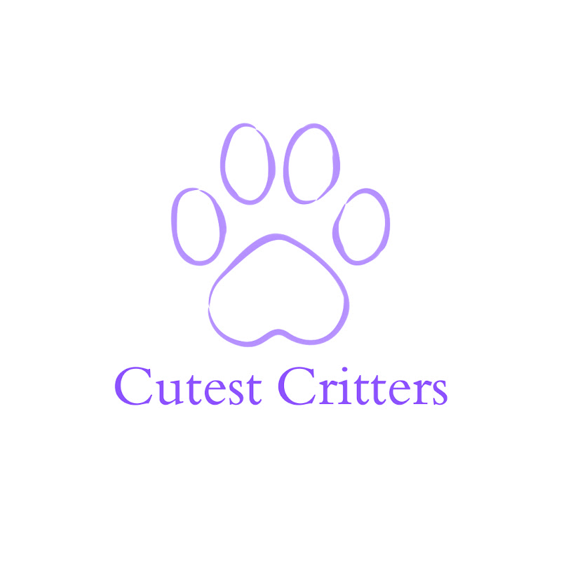 Cutest.Critters