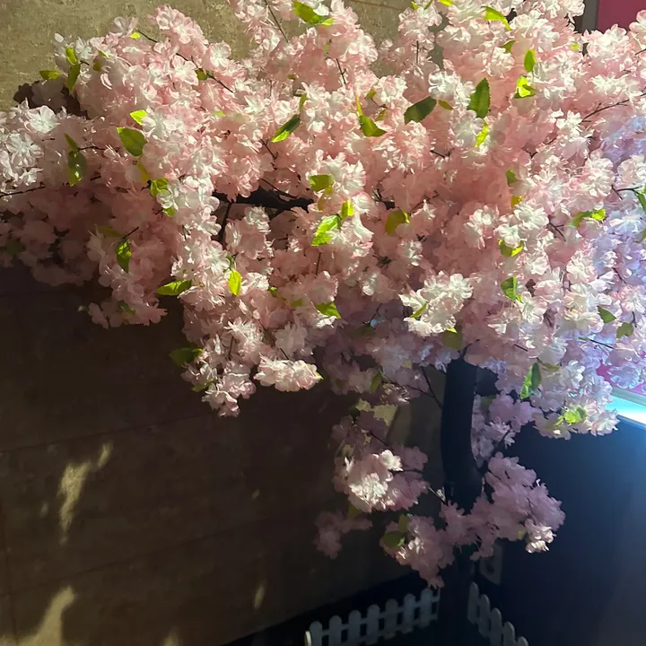 이라다🇰🇿♥️🇰🇷❤️❤️
