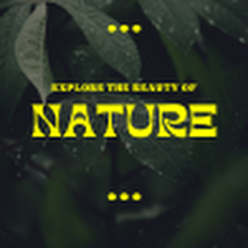 incredible facts about nature