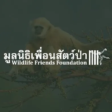 Wildlife Friends Foundation