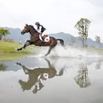 HKJC Equestrian