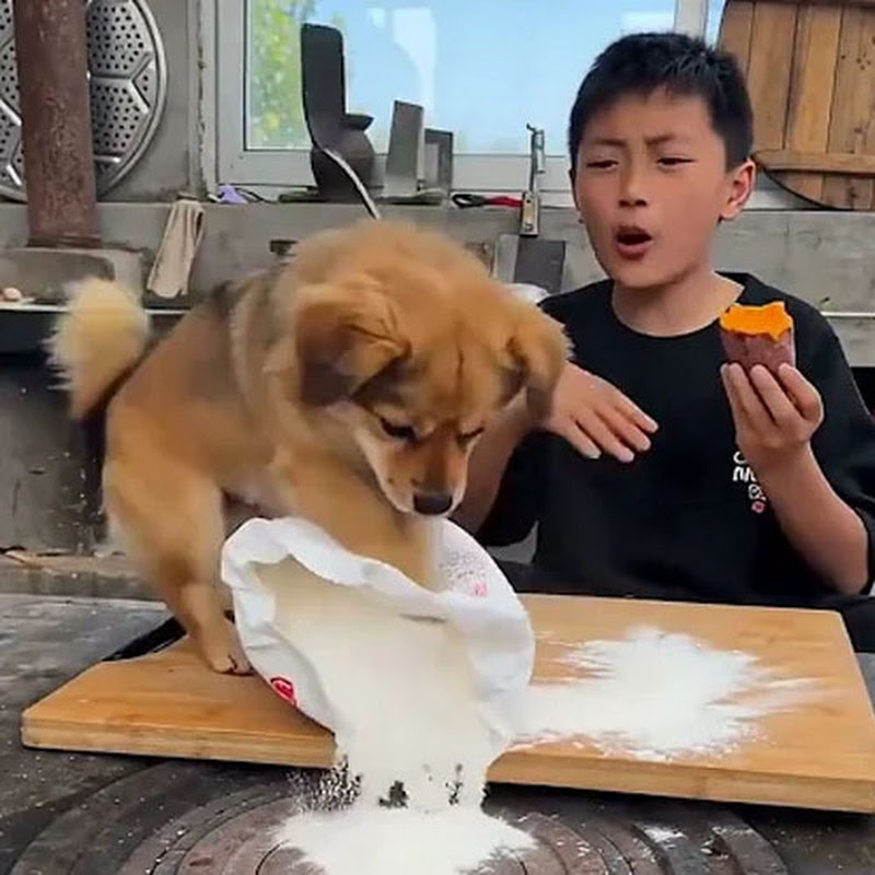 Fun Unexpected Entertainment