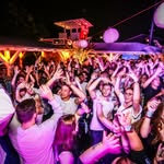 Partys Dresden ®