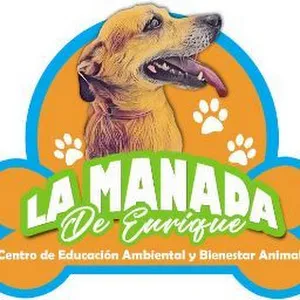 La Manada de Enrique