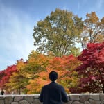 카페라이터 | 카페•미식•공간•팝업•전시