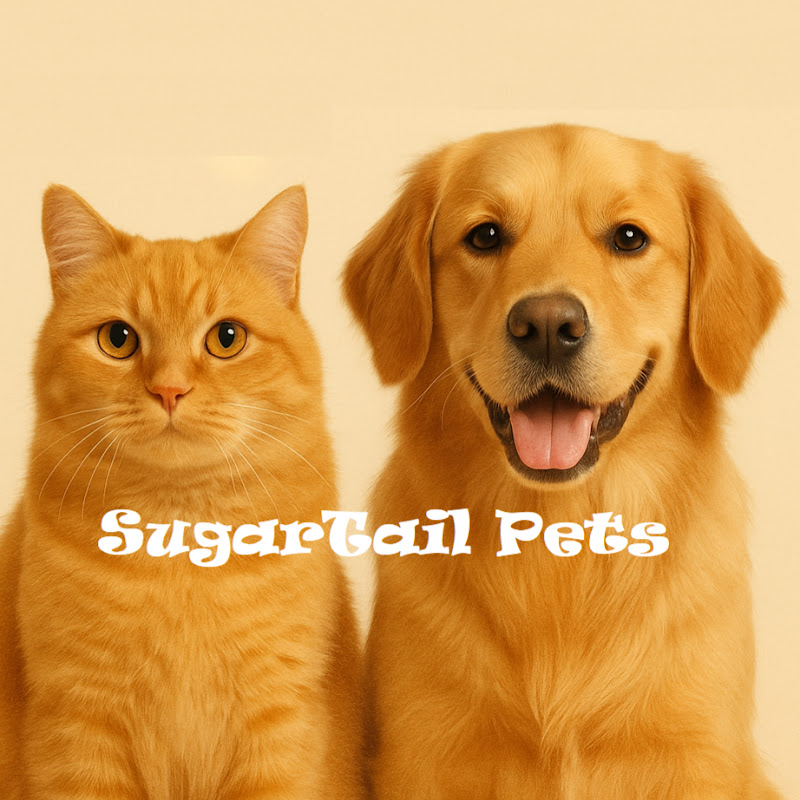 SugarTail Pets