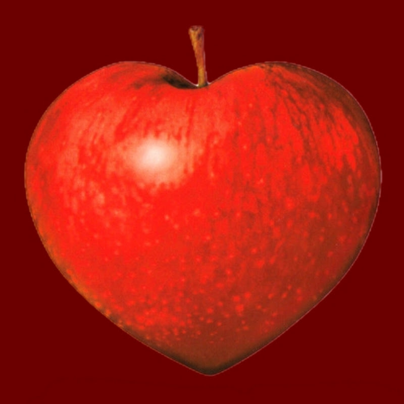Apple World Studio