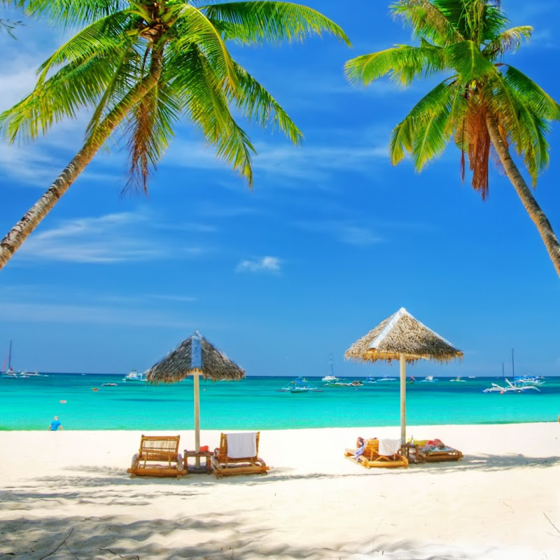 Dominican Republic Real Estate by Joanne Hammond