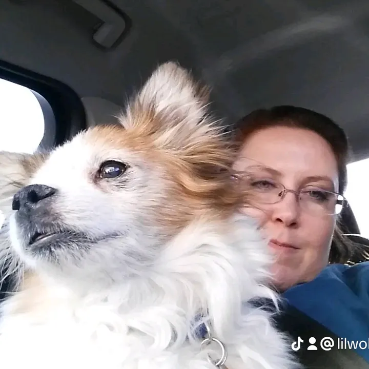 Lilwolf (Laurie)