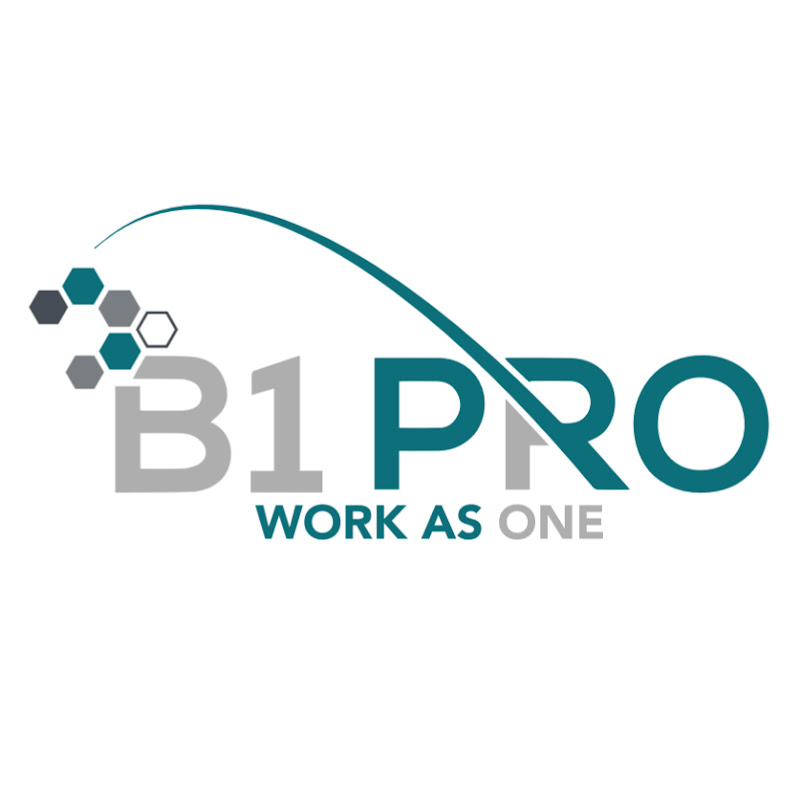 B1Pro consultoría de Odoo y SAP Business One