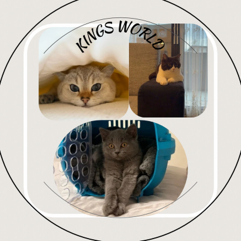 King ́s World