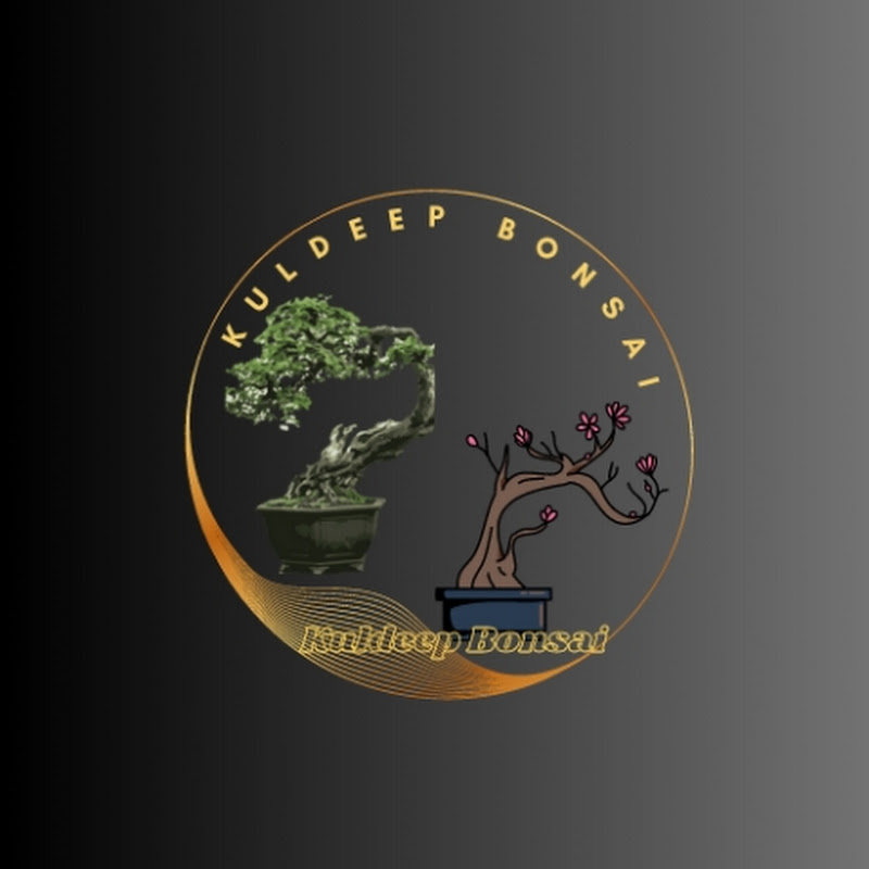 Kuldeep bonsai