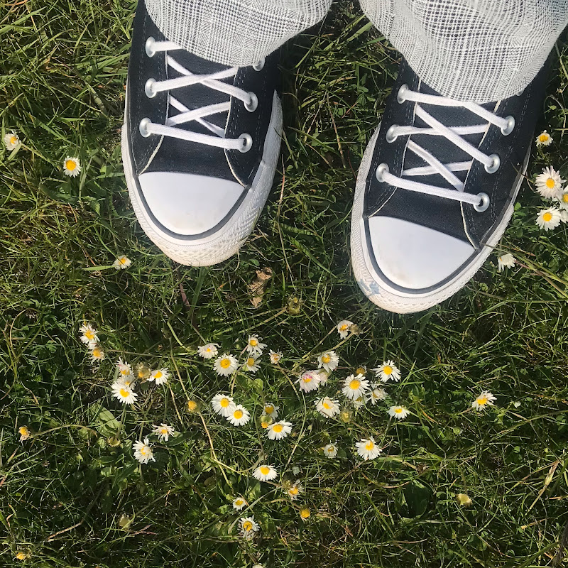 Studies With Clifford