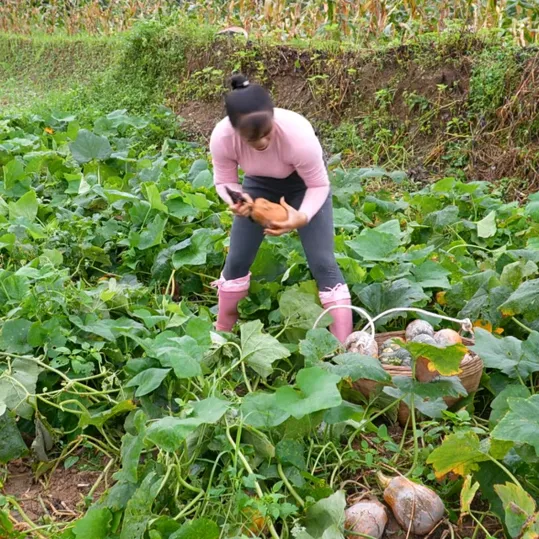 sara.farming