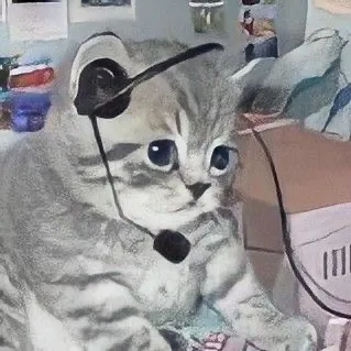 세옹 Se-ong🐈