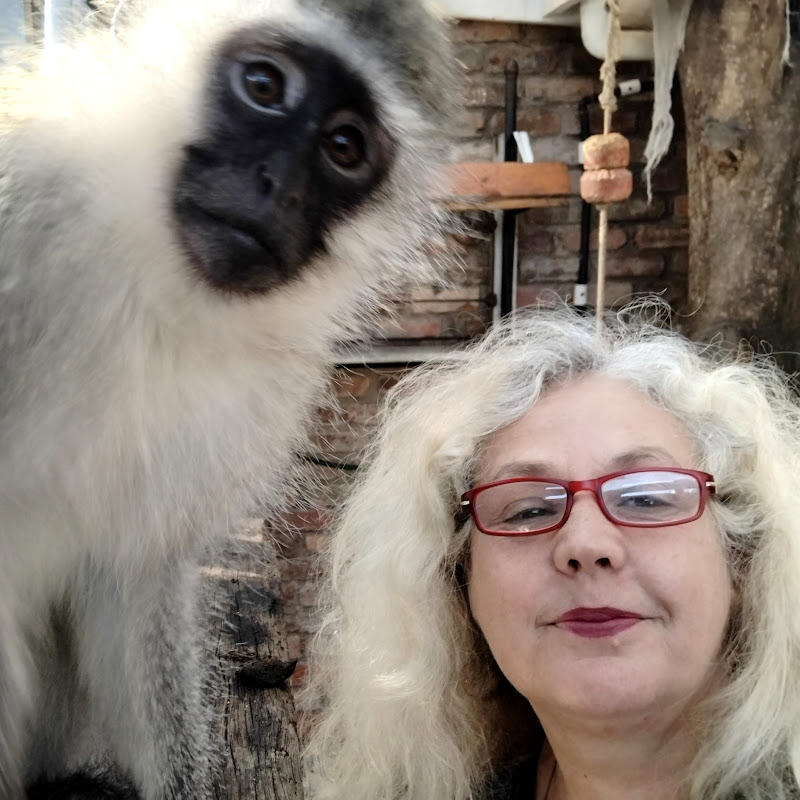 The Artist's Escape South Africa