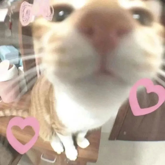 llsodidjkfhye577555