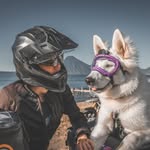 GoRUFFLY Around the World