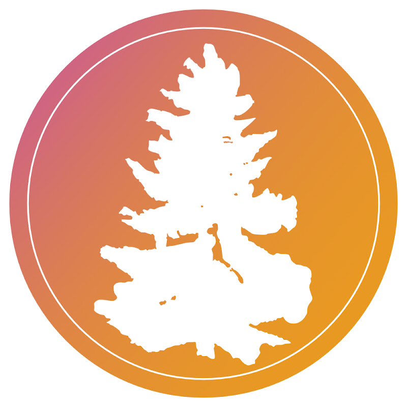Child of the Redwoods