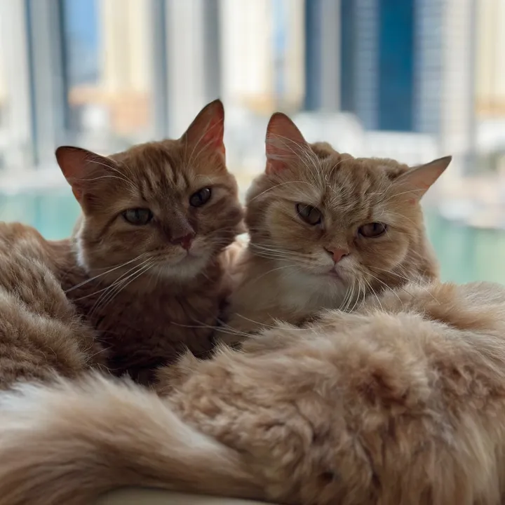 Ginger & George