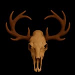 Gangstø Hunting - Jegerkaran