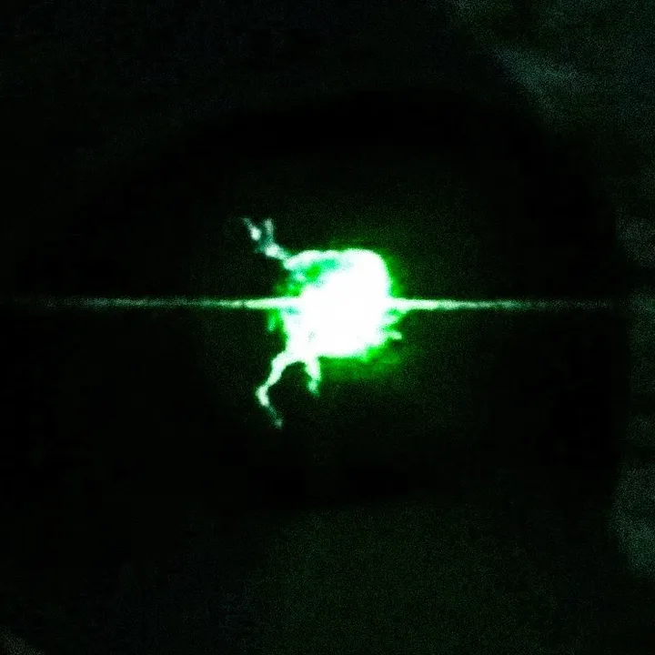 imstillinthenightt