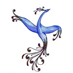 Студия Синяя Птица | Хореография | Москва