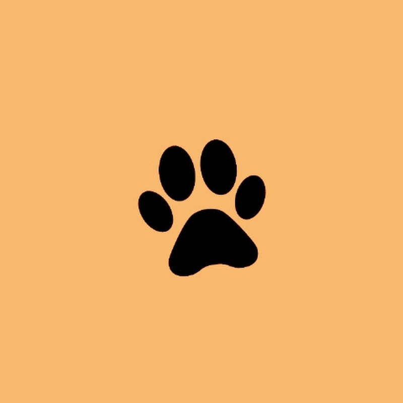 Pets with Humans