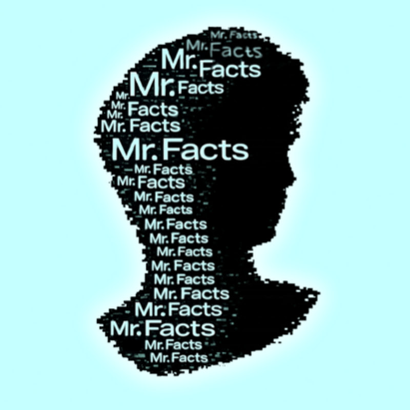 Mr-Facts