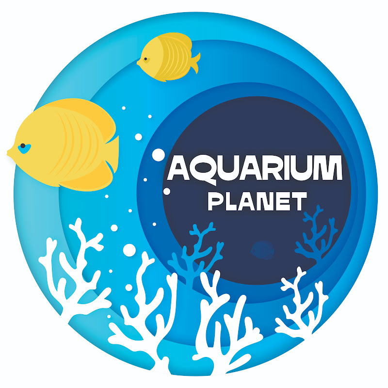 Aquarium Planet