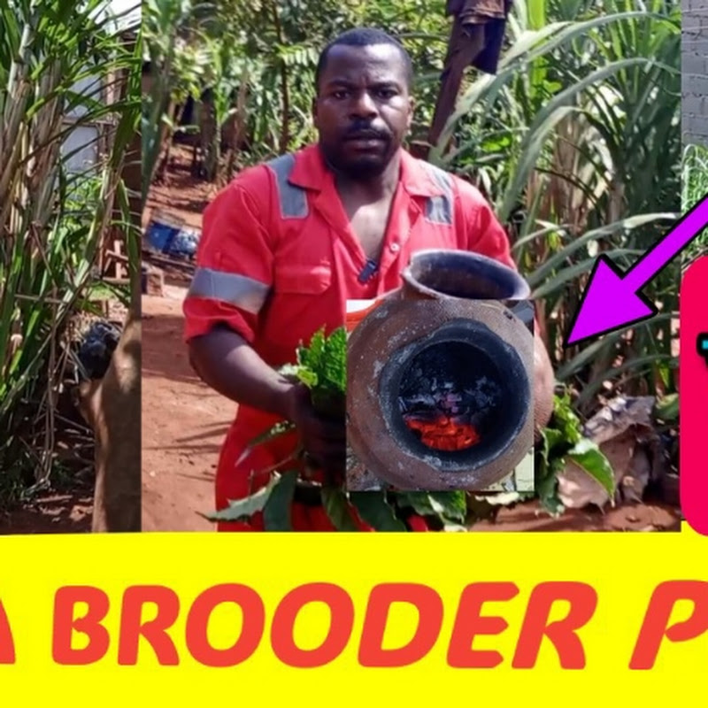 kataps community Farm Africa 