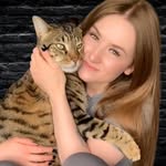 LAURA KAY | @DEXTERBOYCAT